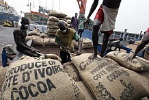 Filière café-cacao : Le procès reprend ce matin