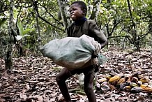 Les inspecteurs du Travail instruits sur la lutte contre le travail des enfants