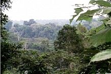  Soubré : Les populations sensibilisées à la reconstitution des forêts