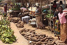 Côte d'Ivoire : la fuite des produits agricoles vers les pays voisins connaît une baisse sensible