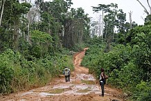 Restauration du couvert forestier : Babaud Darret sensibilise les populations du district des Savanes