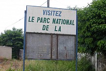 Bouaflé : Le parc national de la Marahoué menace de disparition