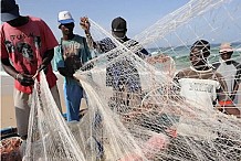 Lutte contre la pêche illégale : Les inspecteurs vont tout verrouiller
