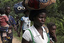 Côte d’Ivoire : Retour de plus de 240.000 réfugiés depuis la fin de la crise (HCR) 