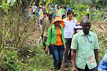 Promotion agricole/ AVA fait découvrir les plantations ivoiriennes aux diplomates étrangers