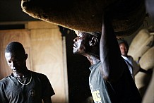 Les planteurs souffrent de la chute du cours du cacao en Côte d'Ivoire 