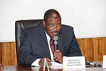 Les assises des états généraux de la forêt se tiendront en juin à Abidjan (Ministre)