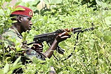 Côte d'Ivoire: Attaques contre les forces de sécurité, six soldats tués