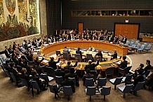 Révision constitutionnelle : l'ONU invite le Gouvernement ivoirien à « ouvrir le processus à tous »