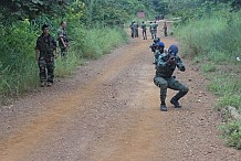 Un échange de tirs entre soldats ivoiriens et maliens fait un blessé au nord de la Côte d'Ivoire