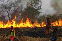 Une perte de plus 204 milliards de FCFA causés par les feux de brousse en 2016