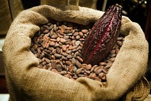 L’économie ivoirienne affectée par la chute des cours du cacao (Ouattara)