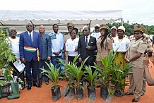Le Grand Centre ivoirien va accueillir la 7e édition des Journées de l’administration agricole délocalisée