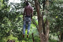 Le corps d’un homme pendu à un arbre découvert à Troumabo