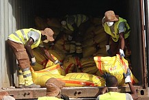 Début de la destruction de 18 000 tonnes de riz avarié déchargé au port d'Abidjan