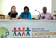 Agriculture familiale: 19 Comités nationaux africains peaufinent leurs stratégies à Abidjan