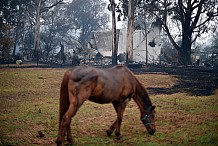 Incendies en Australie: de faibles pluies apportent un maigre répit