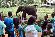 Un employé du zoo d'Abidjan licencié pour avoir dénoncé la maltraitance des animaux
