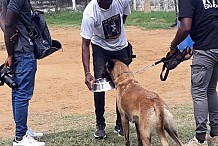 La Côte d’Ivoire en passe de devenir la plaque tournante canine en Afrique de l’Ouest (CACCI)