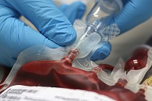Poche de sang et produits sanguins : le gouvernement uniformise les prix à 3 000 FCFA dans les établissements publics et privés