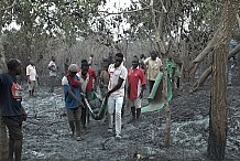 Une septuagénaire et ses deux petits-fils périssent dans un feu de brousse
