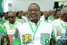 Présidence du Pdci-Rda : Une centaine de cadres et élus du parti pour la candidature de Tidjane Thiam