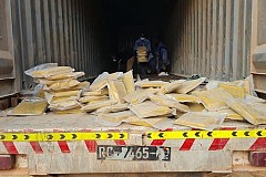 Côte d'Ivoire/Trafic de Drogue: Interpellation d’un individu et saisie de 25 kg de Cannabis d’une valeur de plus d’1 million de FCFA à Divo (police)